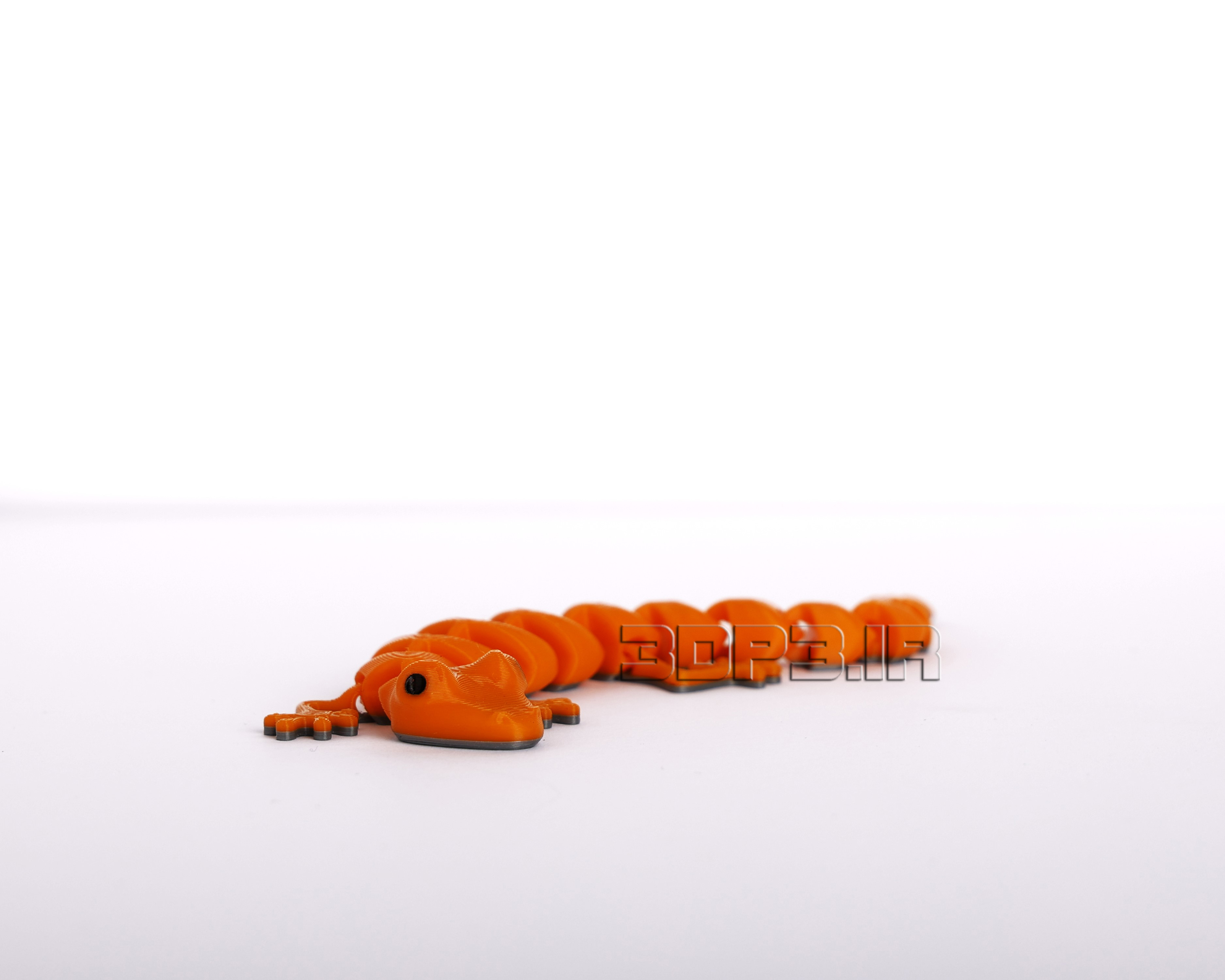 مارمولک نارنجی